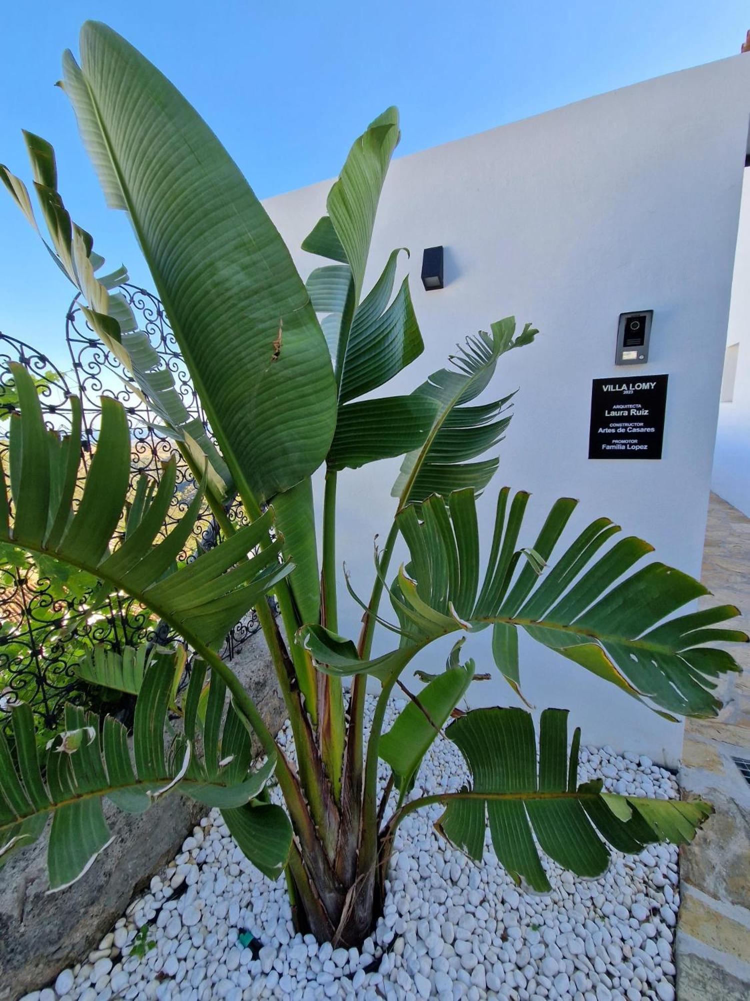 Villa Lomy Casares Exterior photo